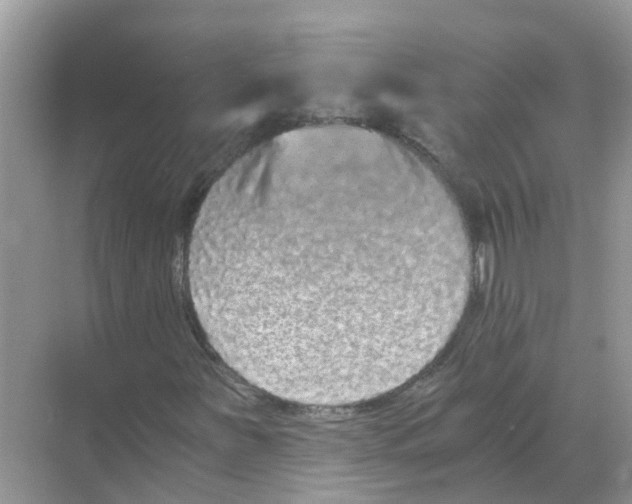 X0000068301251200605121955
