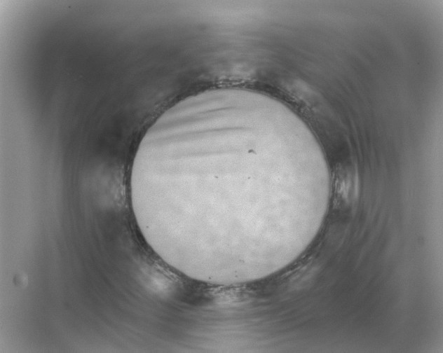 X0000068301252200605121955