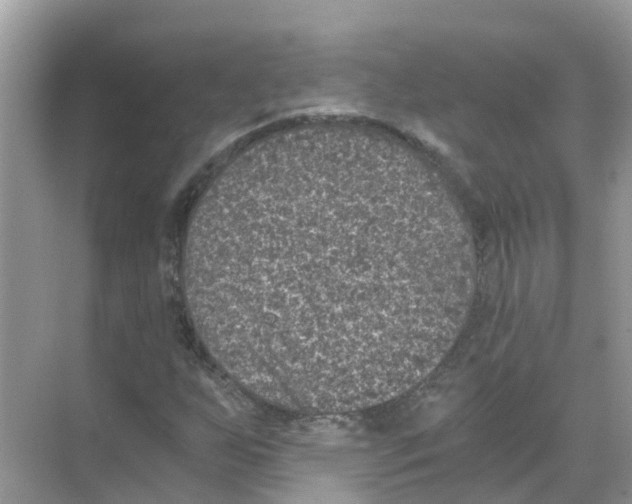 X0000068301255200605121955