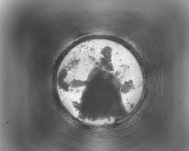 X0000068301263200605121955