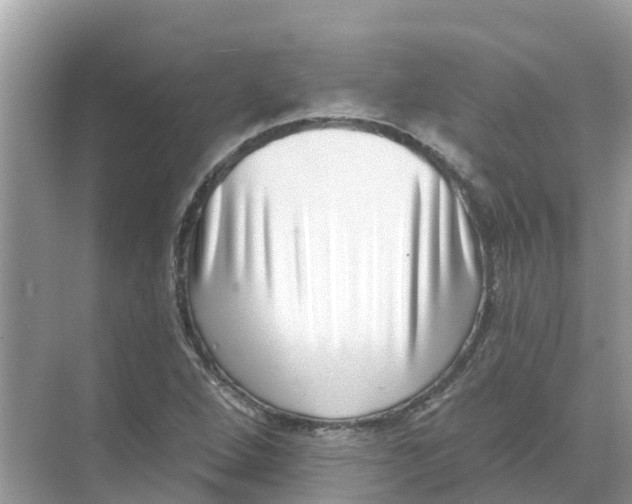 X0000068301264200605121955