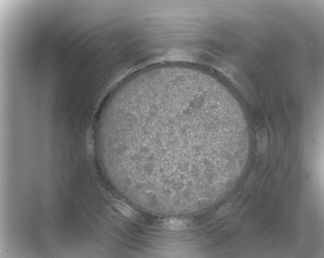 X0000068301266200605121954