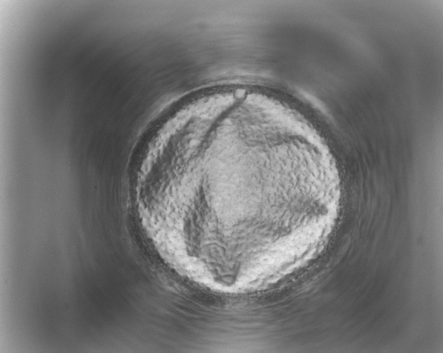 X0000068301267200605121954