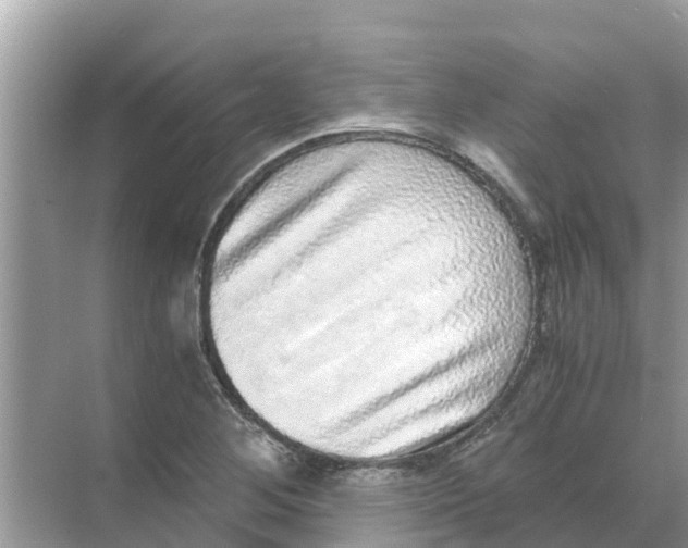 X0000068301268200605121954