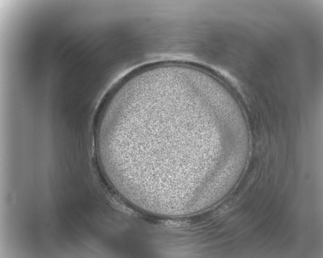 X0000068301271200605121954