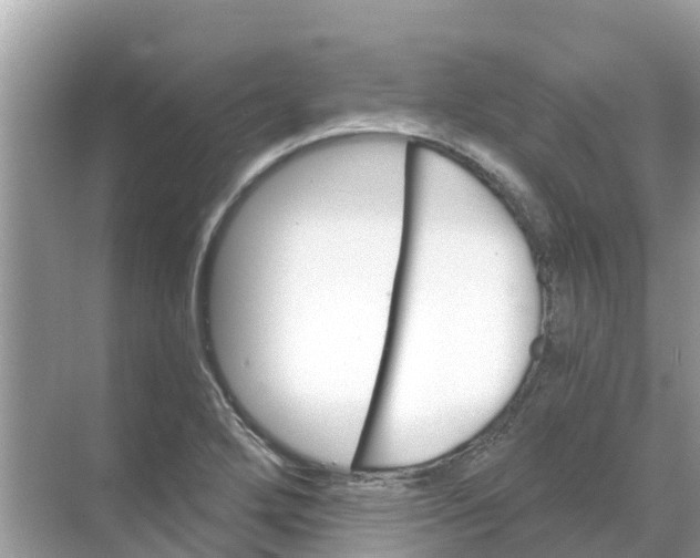 X0000068301272200605121954