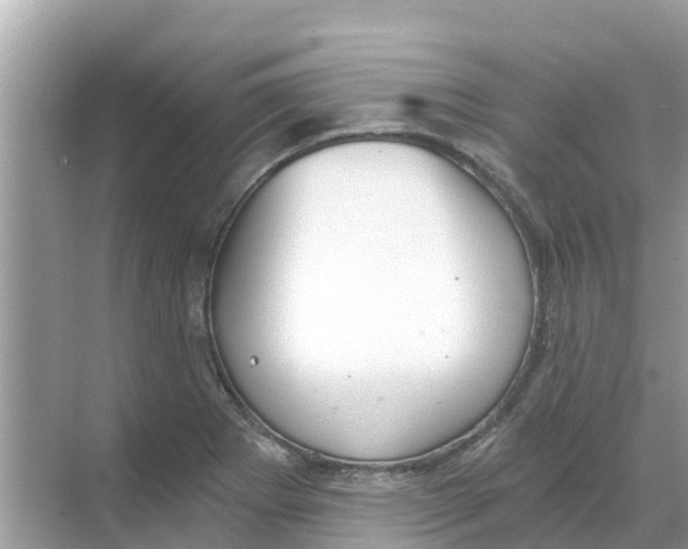 X0000068301273200605121954