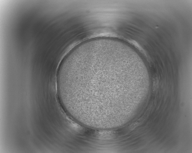 X0000068301274200605121954