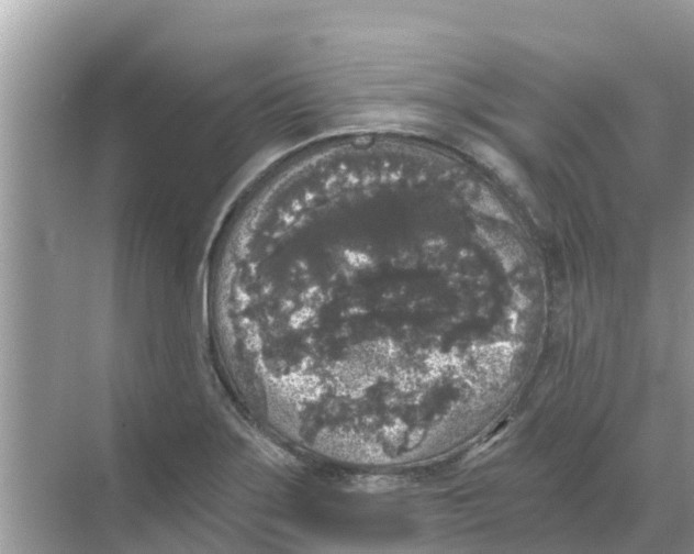 X0000068301275200605121954