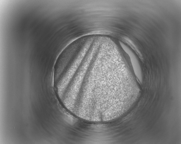 X0000068301276200605121954