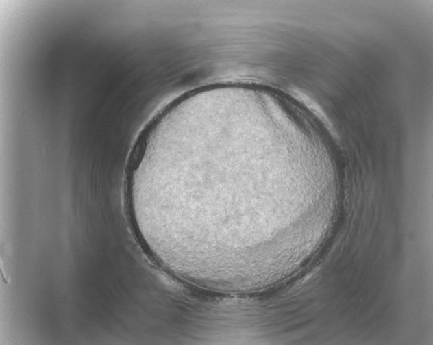 X0000068301277200605121954