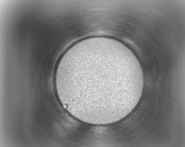 X0000068301278200605121954