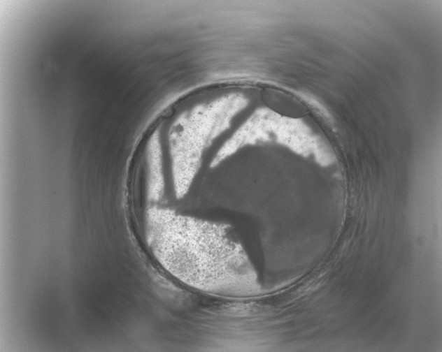 X0000068301279200605121954