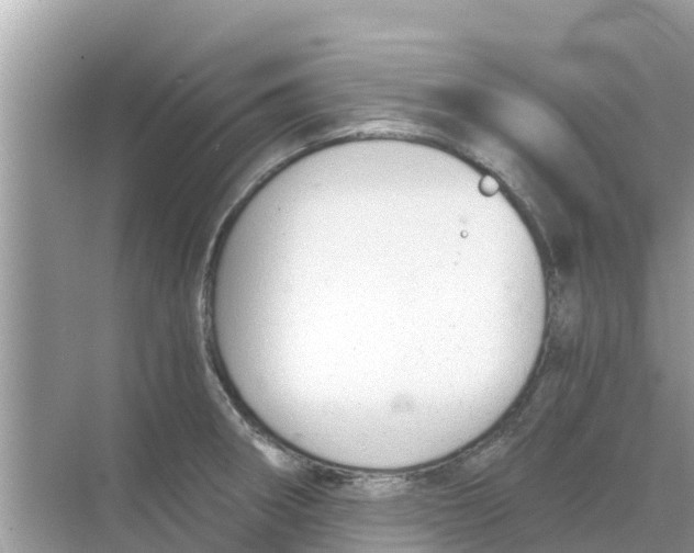 X0000068301282200605121954