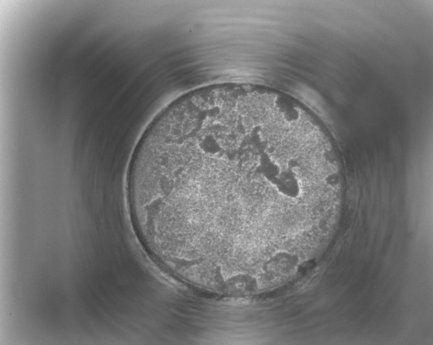 X0000068301283200605121954