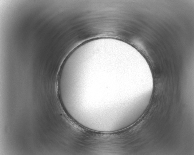 X0000068301284200605121954