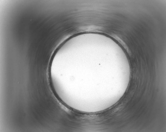 X0000068301285200605121954