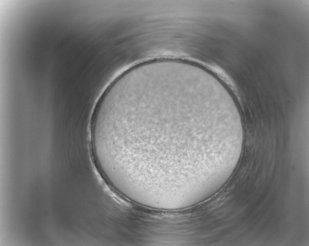 X0000068301287200605121954