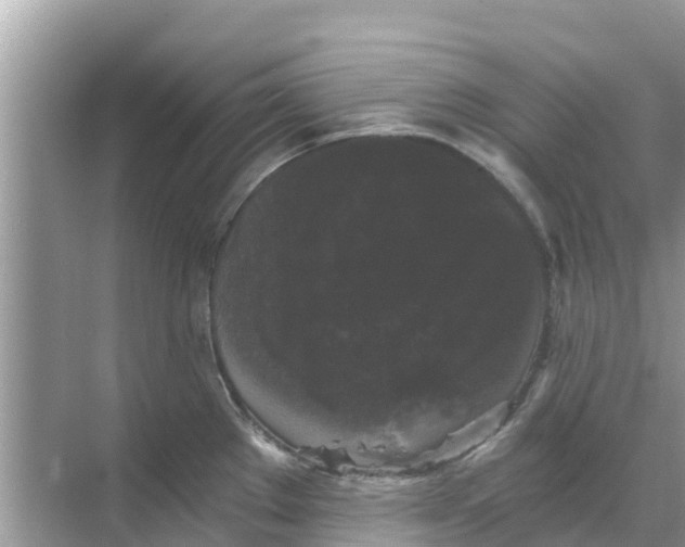 X0000068301289200605121954