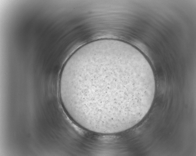 X0000068301290200605121954