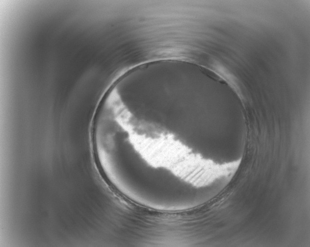 X0000068301291200605121954