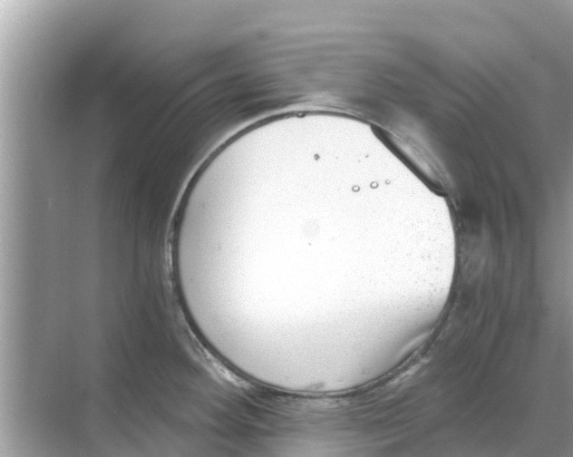 X0000068301292200605121954