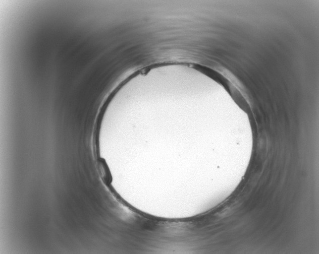 X0000068301293200605121954