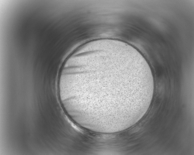 X0000068301294200605121954