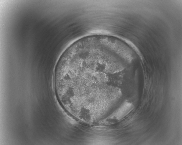 X0000068301295200605121954