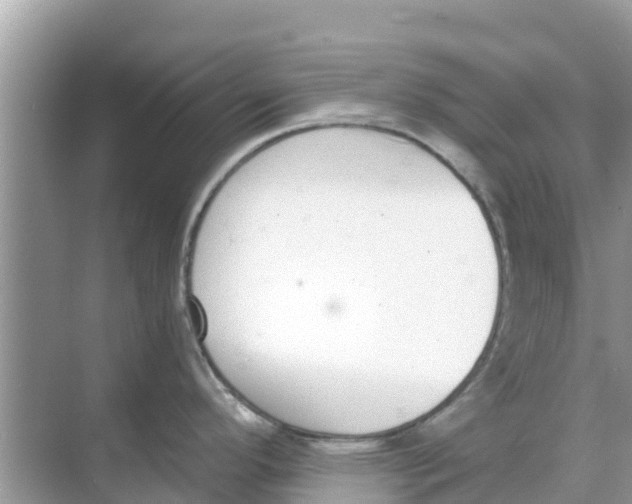 X0000068301296200605121954