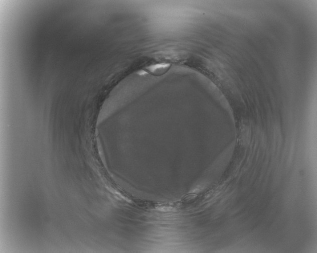 X0000068301297200605121953