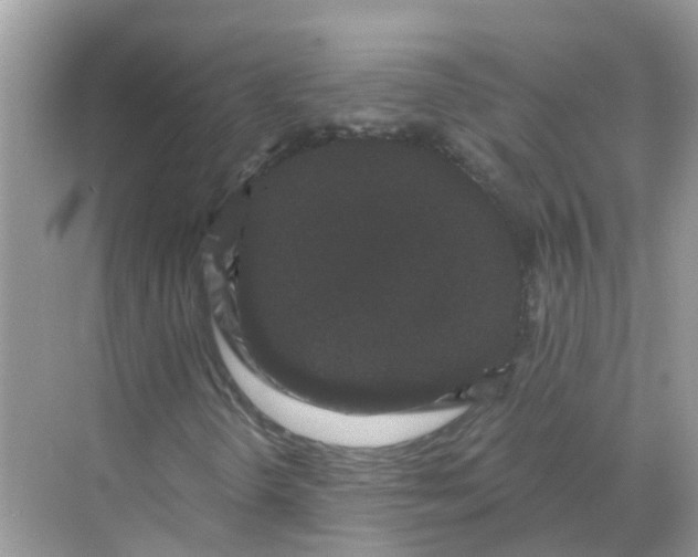 X0000068301298200605121953