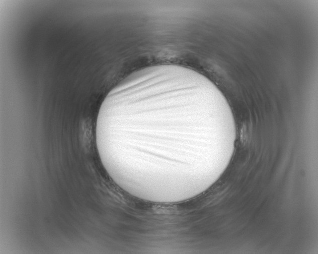 X0000068301299200605121953