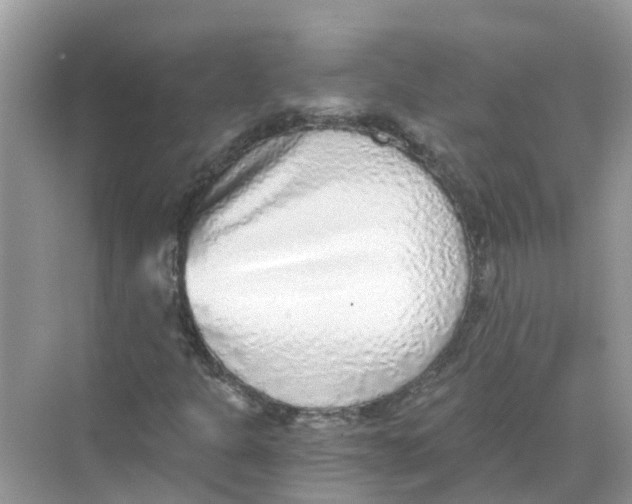 X0000068301301200605121953