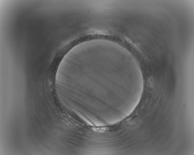 X0000068301303200605121953