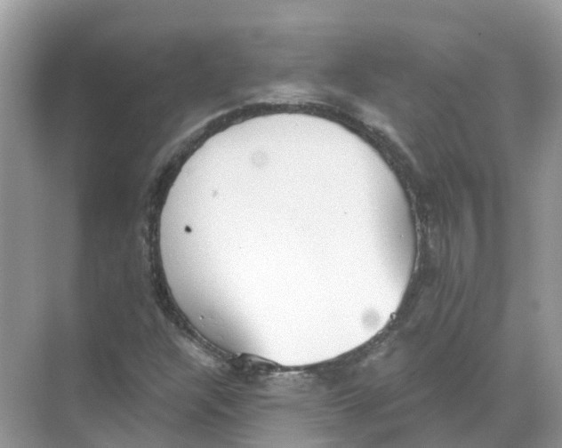 X0000068301304200605121953