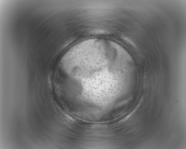 X0000068301305200605121953