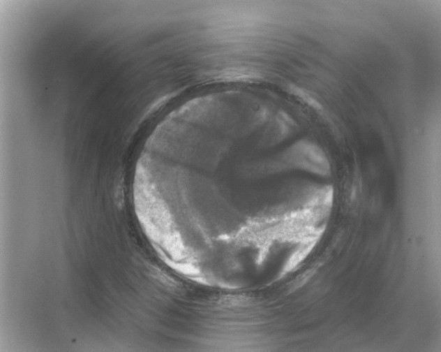 X0000068301306200605121953