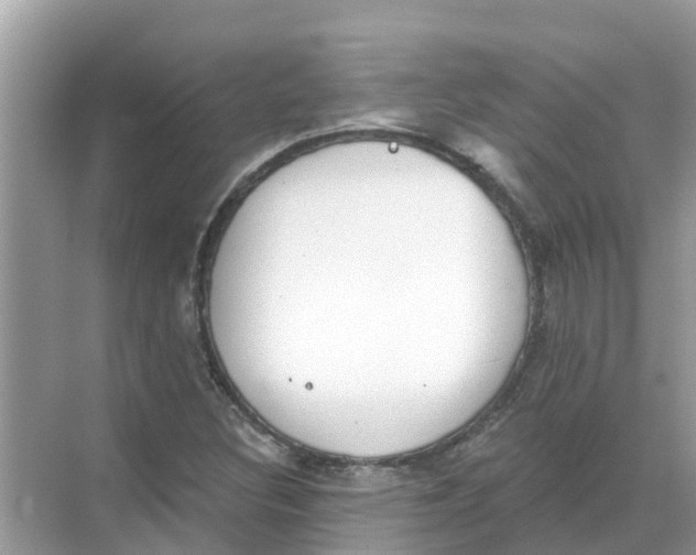 X0000068301308200605121953