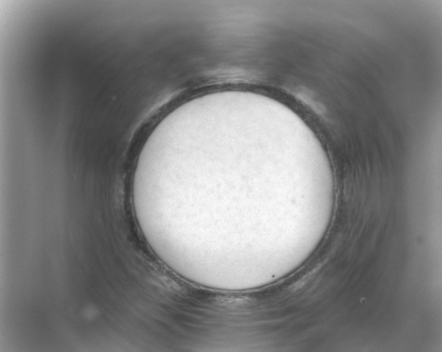 X0000068301309200605121953