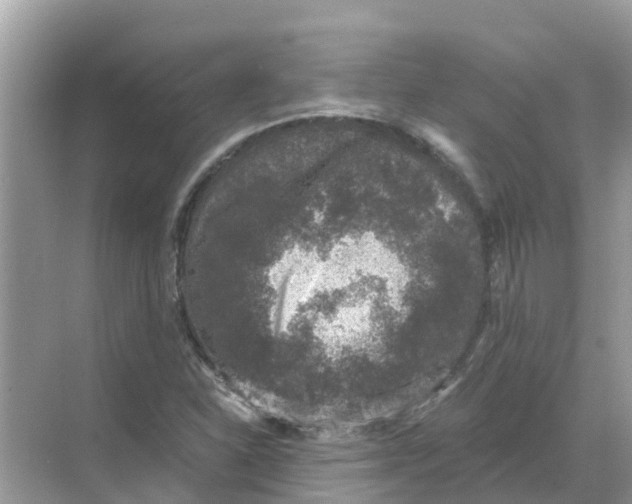 X0000068301310200605121953