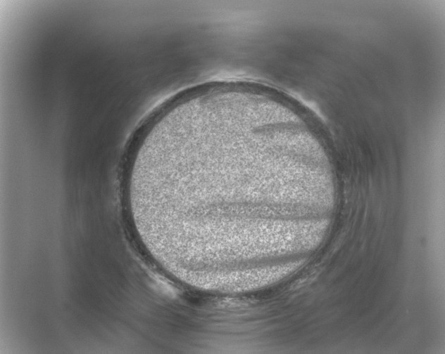 X0000068301311200605121953