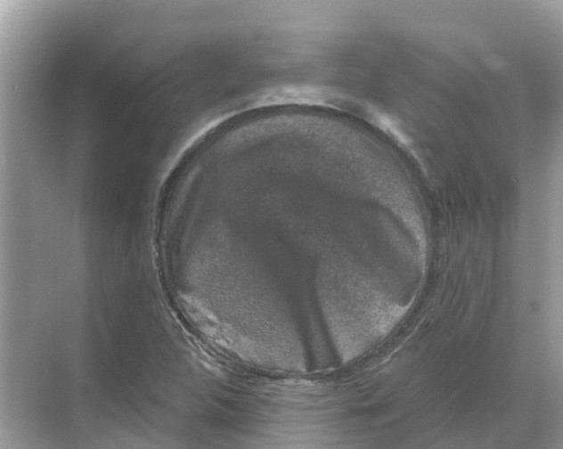 X0000068301312200605121953