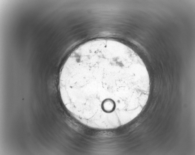 X0000068301314200605121953