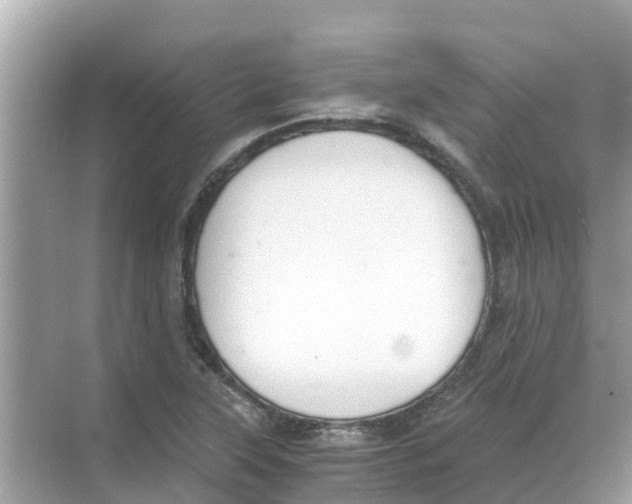 X0000068301315200605121953