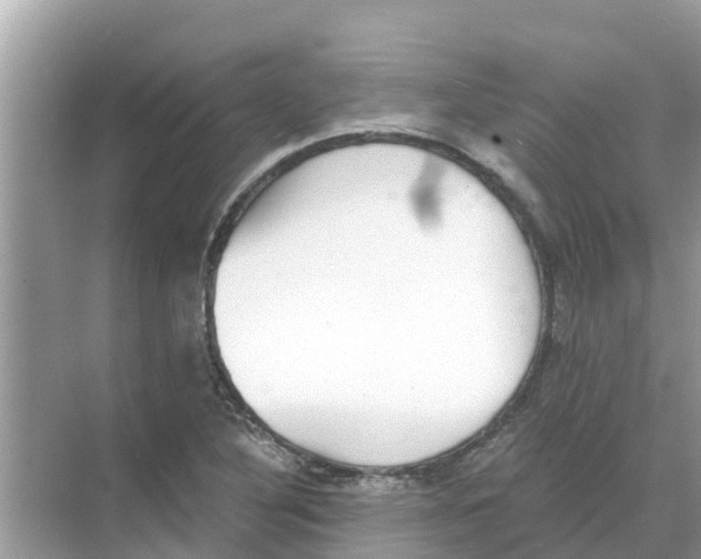 X0000068301316200605121954