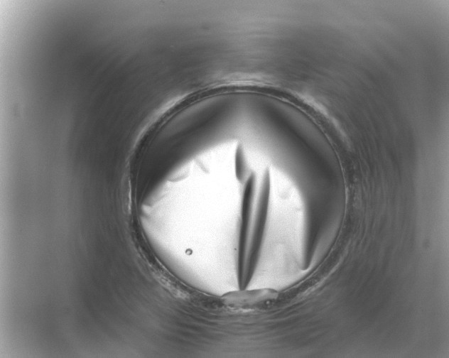 X0000068301317200605121954