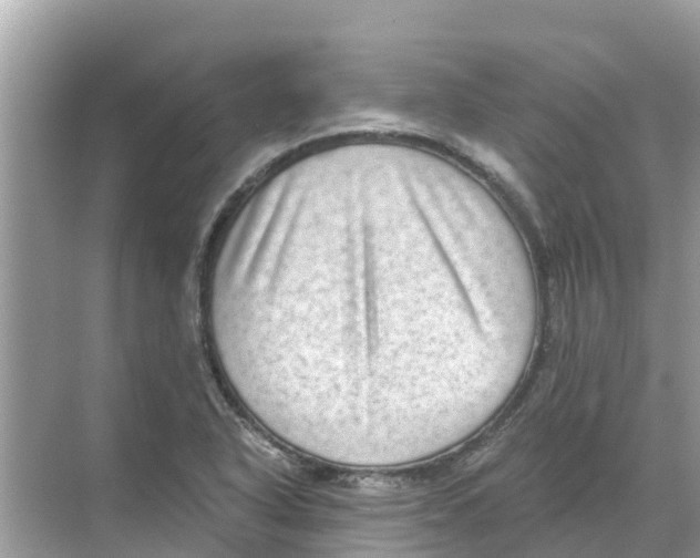 X0000068301318200605121954