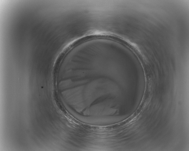 X0000068301319200605121954