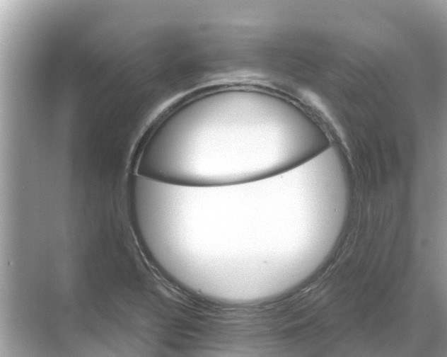 X0000068301320200605121954